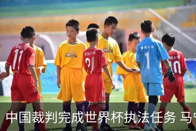 中国裁判完成世界杯执法任务 马宁期待能有更多中国裁判走得更远