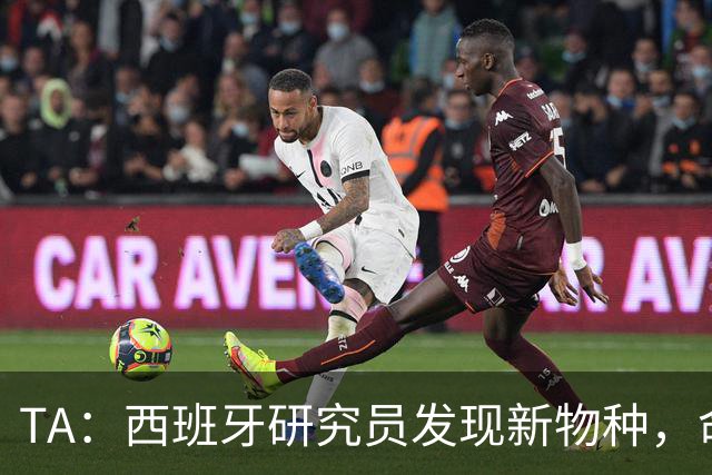 TA：西班牙研究员发现新物种，命名为“沃齐尼亚的海蛞蝓”
